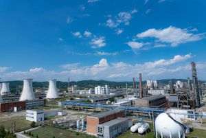 Falling demand hits Chimcomplex's first-quarter results